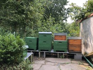 Zwischenlösung Bienenstand - das leben genießen